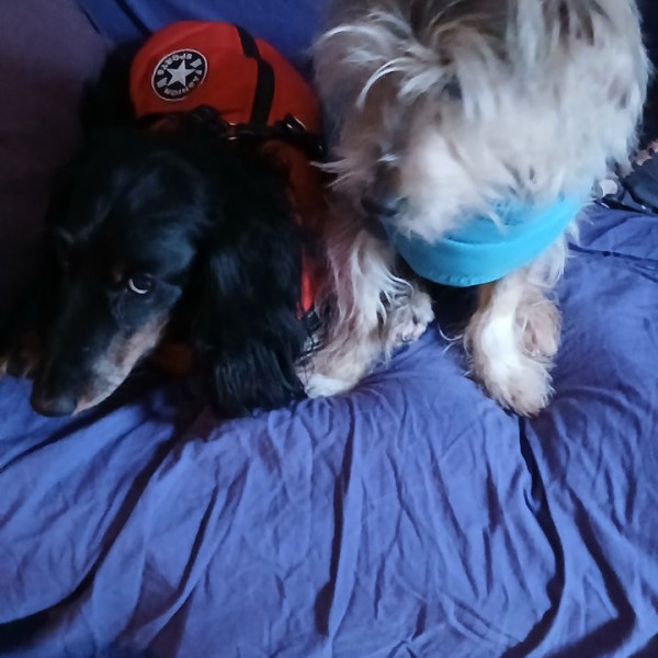 Foto del alojamiento