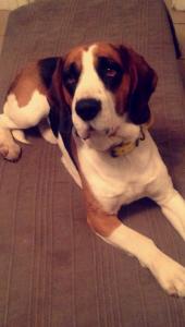 Helton