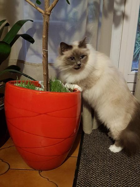 mitzie