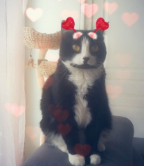 nina
