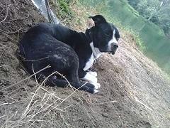 Inaya