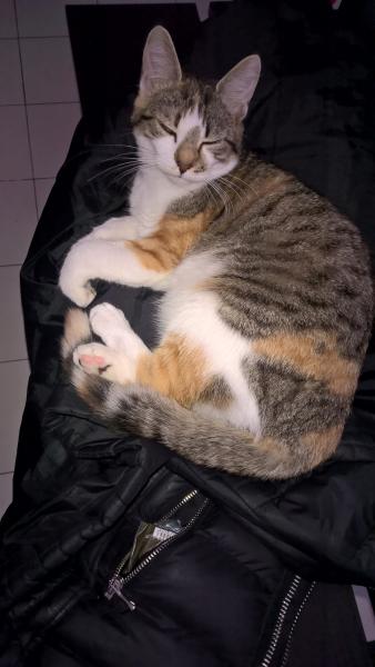Mia