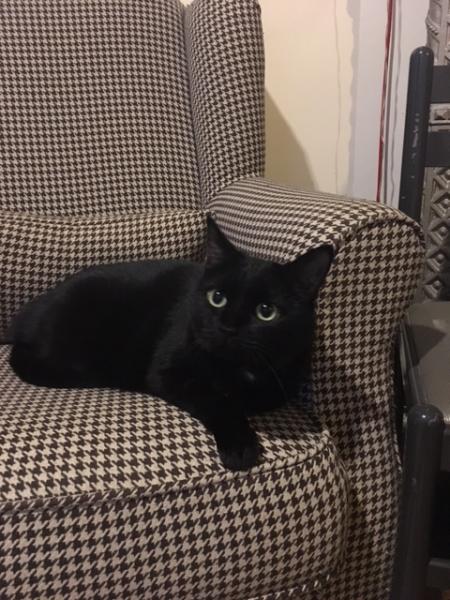 Kali
