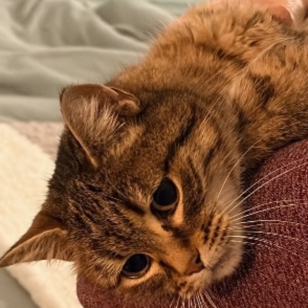 Lenny