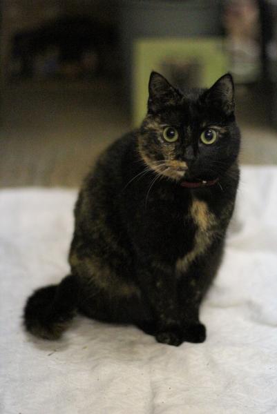 Mimi