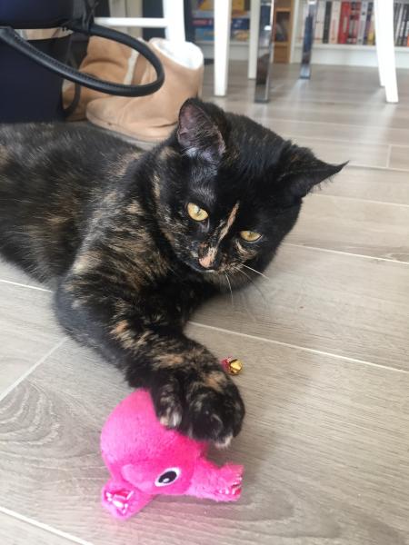 Nala 