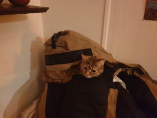 Zoe