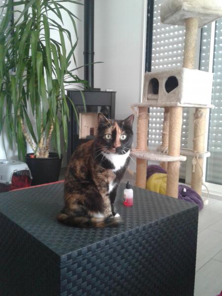 THALIE