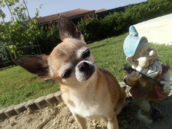 Lilou 