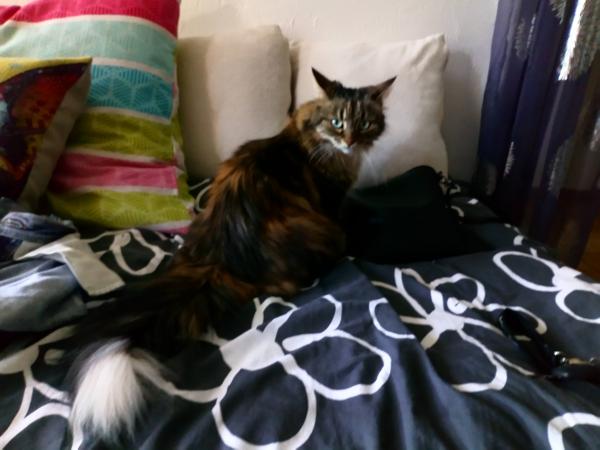 Suzie 