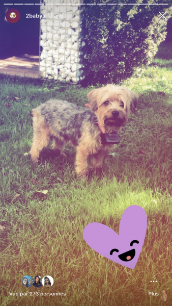 Layka