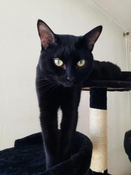 Pi