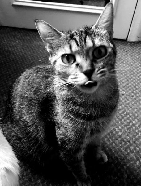 Roxie