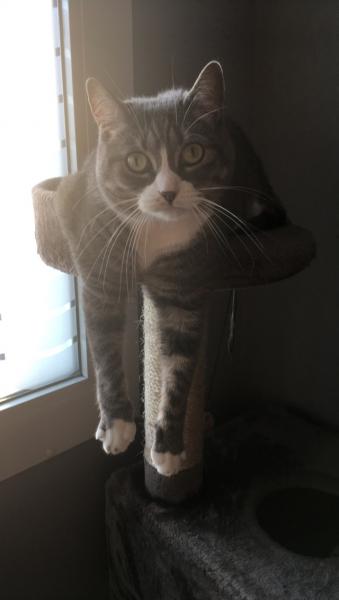 Minnie