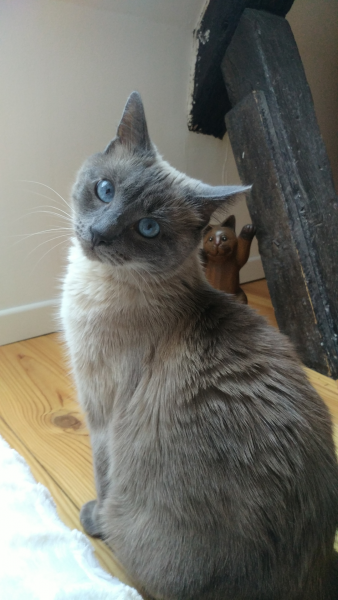 Ophélia