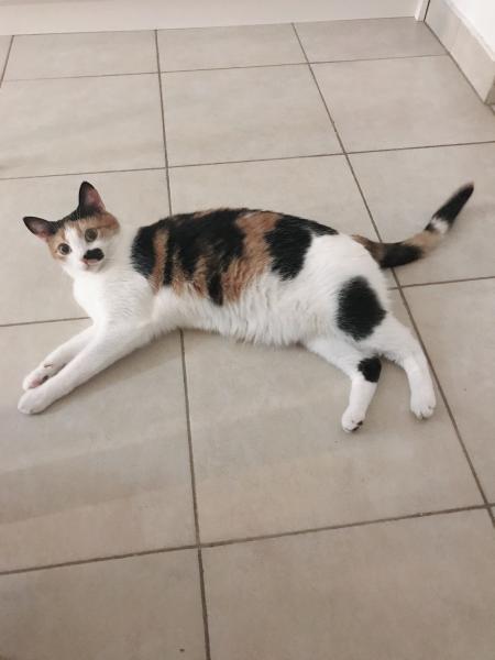 Mimi