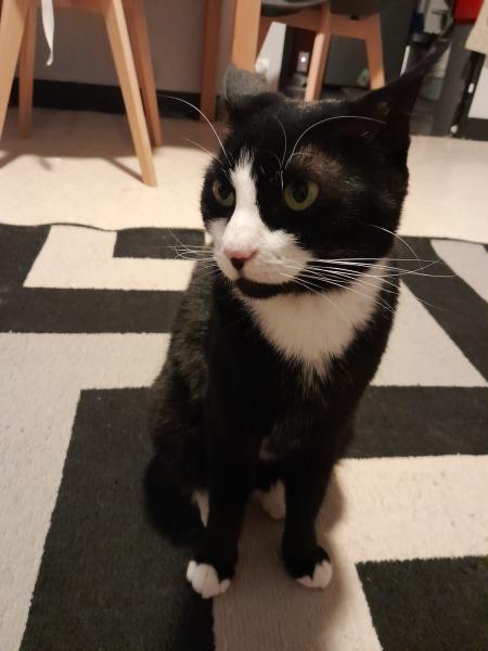 Nala