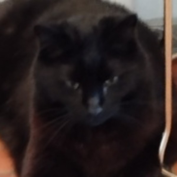BLACKIE
