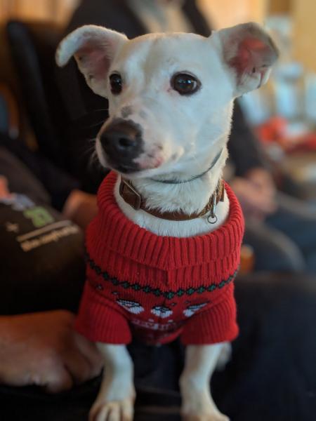 Milo