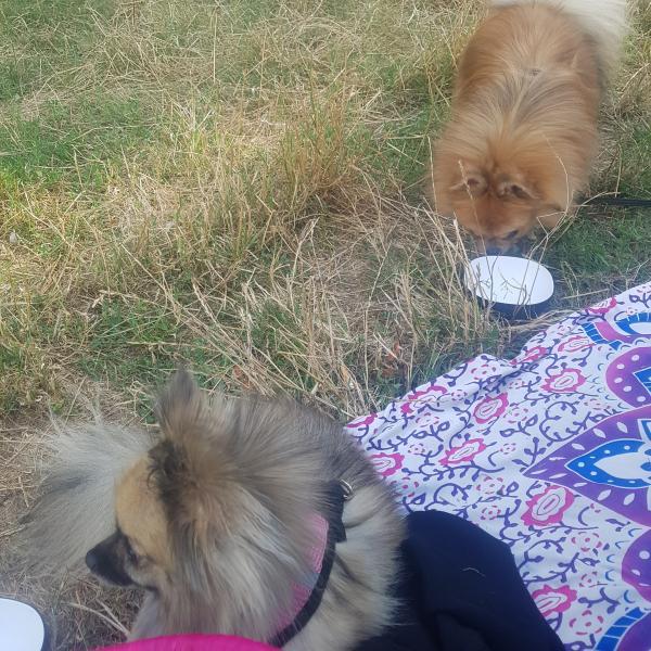 Indiana