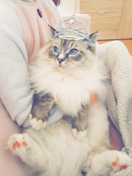 Lucie