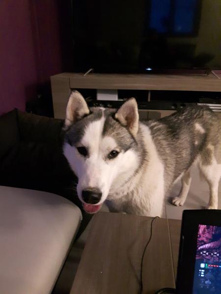 Milka