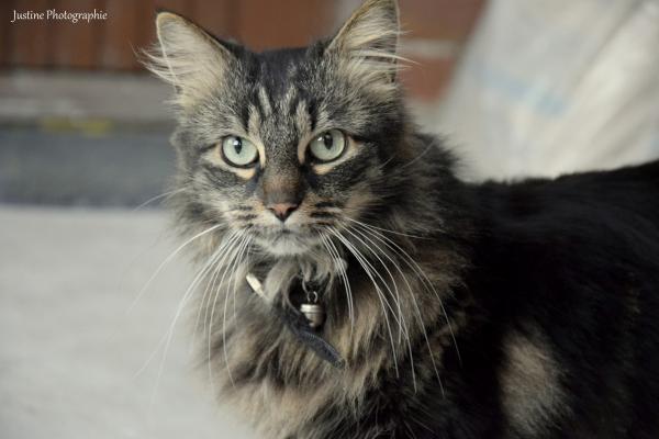 Jack
