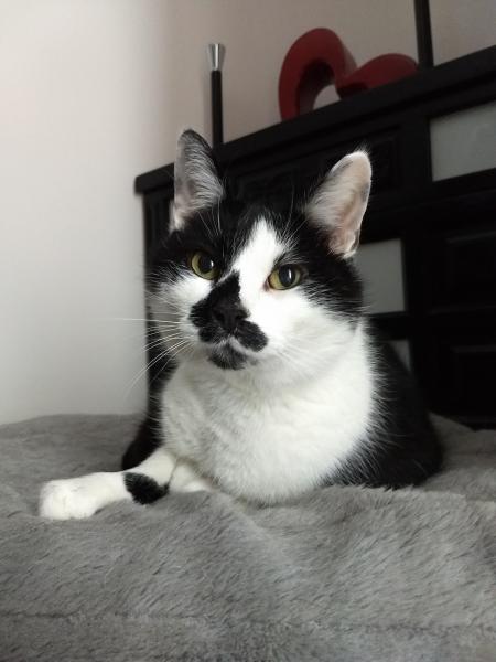 Titou