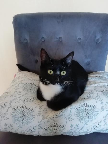 NALA