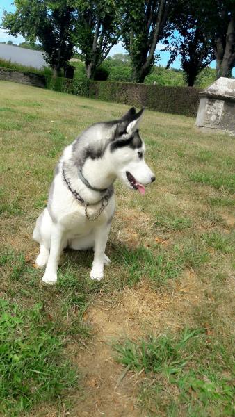 Mayka