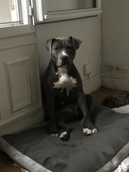 Nala 2