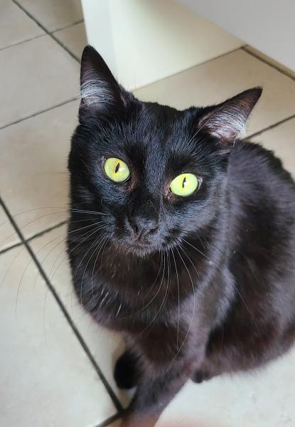 Paco