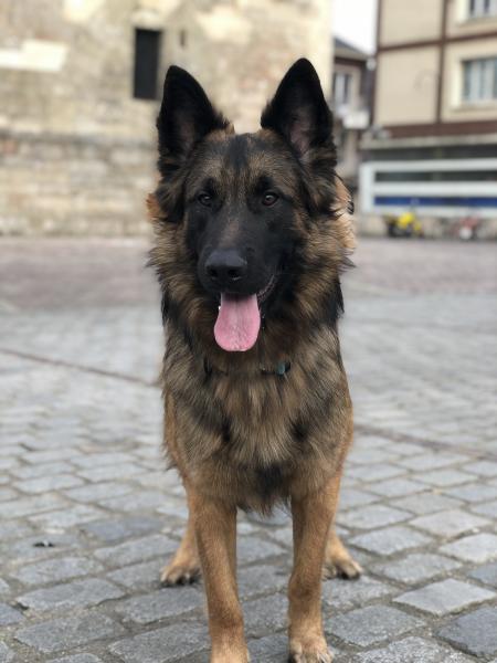 O’Ares