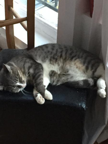 Nala