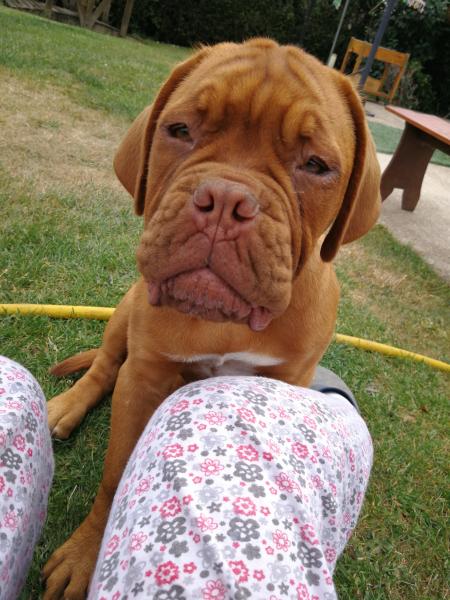 Ruby