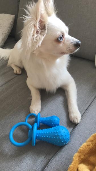 Milo