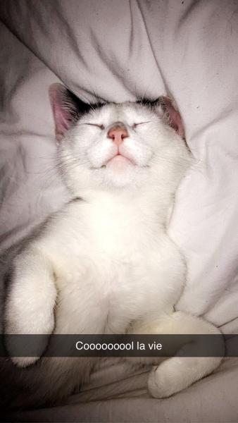 Zozo