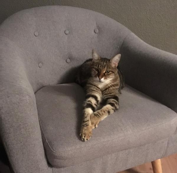 Nala