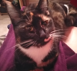 Poupie