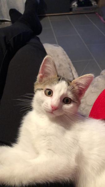 Luna