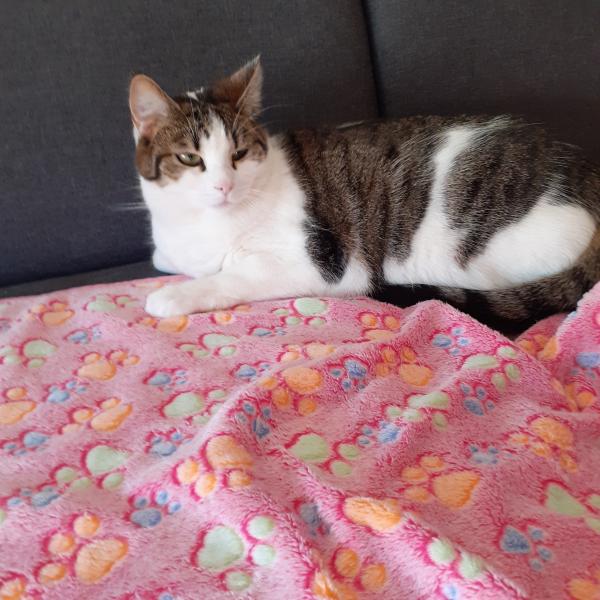 lucie