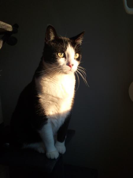 Mimi