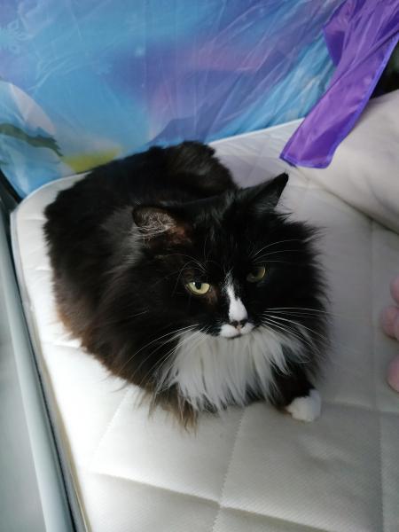 Berlioz