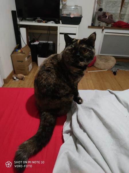 Princesse