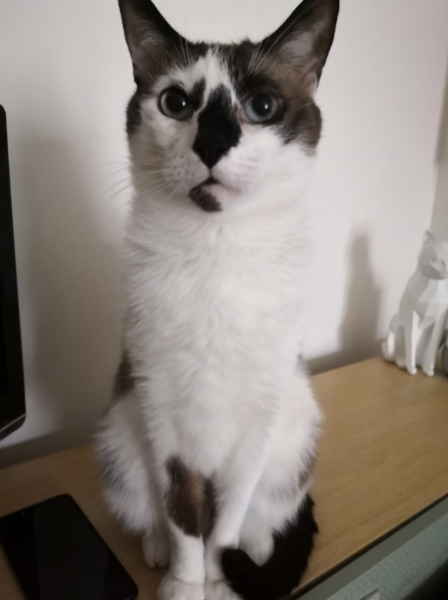 Léon