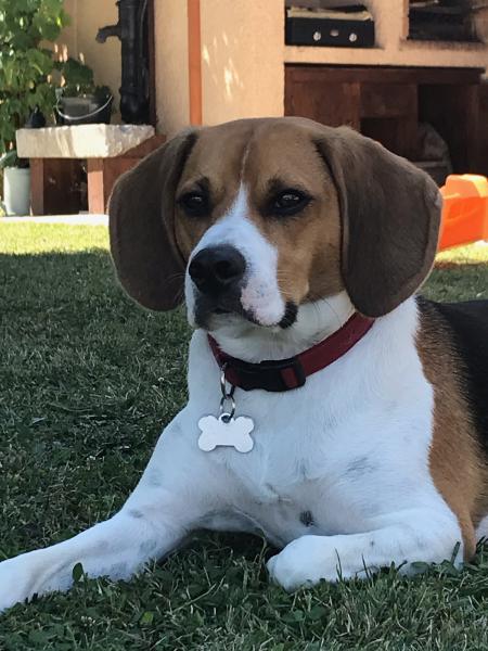 Olaf