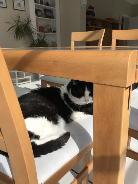 Luna