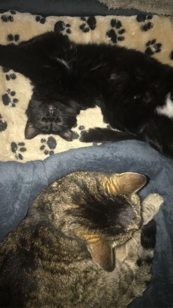NAla
