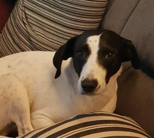 Samantha