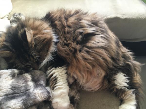 Lilou